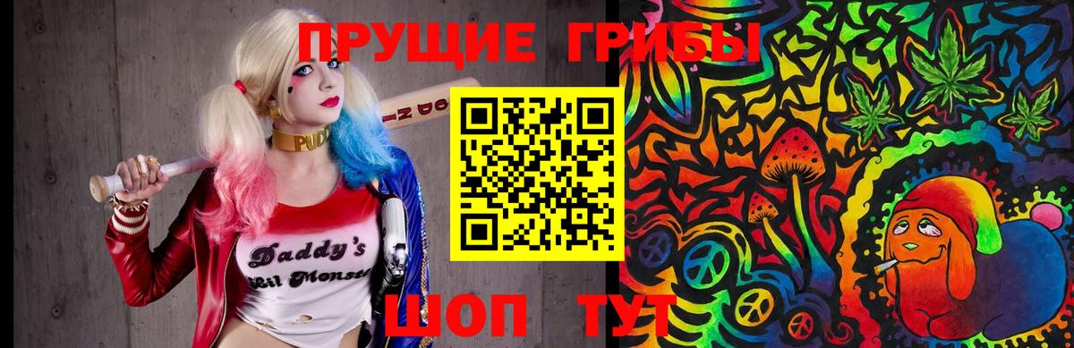 Минусинск  Псилоцибиновые грибы Psilocybine cubensis  Вход с VPN 